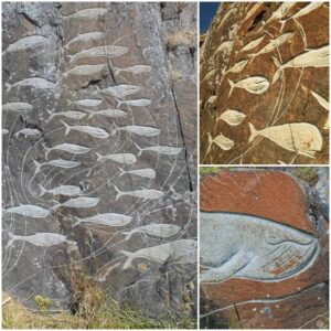 Petroglyph depicting whales, Qaqortoq, Greenland.