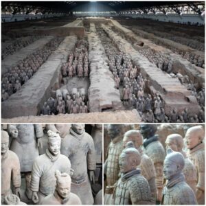 The Terracotta Warriors: An Army Frozen in Time