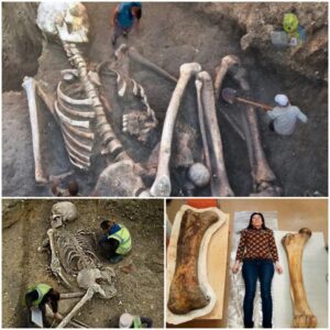 The discovery of giants' skeletons by archaeologists indicates that there once were giants on Earth. That's right.