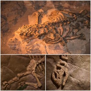 Enchanting Journey Through Millennia of Unknown Mysteries: Revealing the Mysterious Facts Behind Time-Weathered Dinosaur Fossils