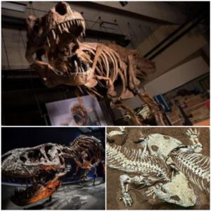 From the Triassic Period, Time Travelers? Discovery Could Revolutionize Our Understanding of Dinosaur Evolution