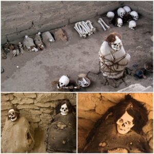 Examining the Mysteries of the Extended Mummies in Chachilla Cemetery