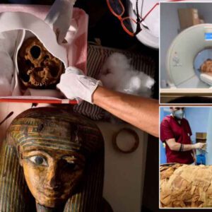 Ancient secrets of 3,000 year-old Egyptian priest are set to be revealed as his mummy is sent to Italian hospital for CT scan