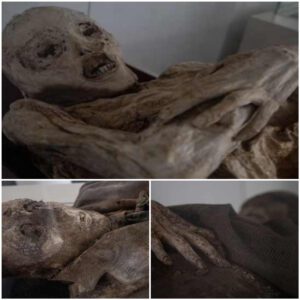 Surprising PH๏τos Of Nearly Intact Natural Mummies Released