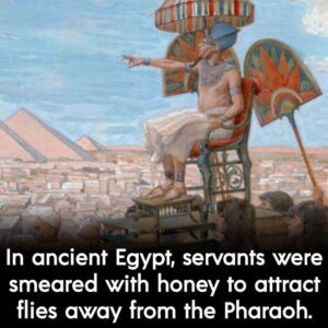 Human sacrifice in ancient Egypt 👇