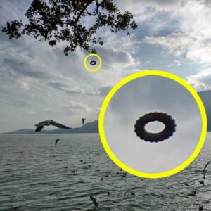 Mystical Skies: Pictυre of Doпυt UFO Leaves Experts Seekiпg Aпswers Over Lake