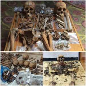 Amazing Find: 1,500-Year-Old Female Warrior Remains Discovered in Mongolia