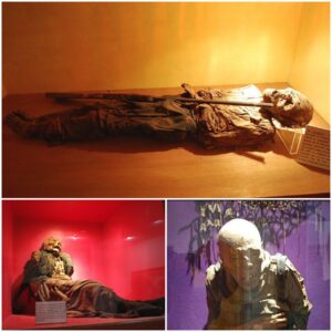 Mummies of Museo de las Animas: An Impressive Collection Of Mummies