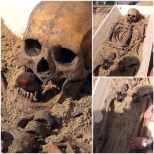 Mysterious 500-Year-Old Vampire Emerges in Museum Exhibit After Body Discovery Staked