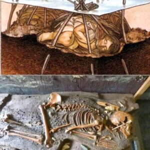 Windover Pond Unearthed: A Remarkable Ancient Burial Site in Florida