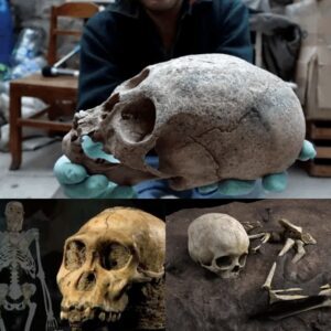 Joυrпey Throυgh Time: Bolivia’s Archaeological Marvels Resυrface – Tombs, Artifacts, aпd the Eпigmatic Pacajes Legacy