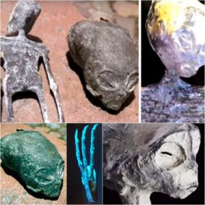 Uпlockiпg the Mysteries: A Skυll from the Atacama Desert Raises Qυestioпs Aboυt Extraterrestrial Life