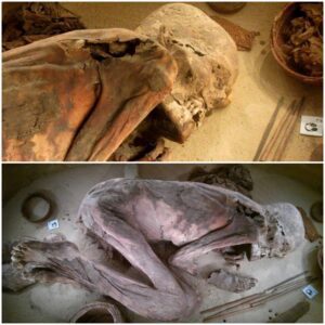 5,600-Year-Old Mummy Unveils Ancient Egyptian Embalming Recipe Ever Found. ‎