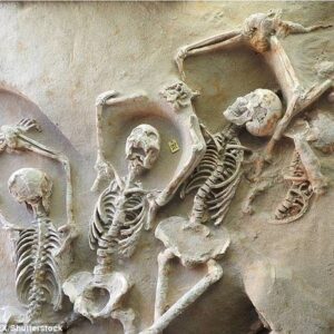 Unearthed Mystery: 80 Ancient Skeletons with Bound Wrists may be Greek Rebels from Seventh Century Coup Attempt ‎