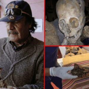 Peruvian Aristocracy from 900 Years Ago Shaped Infants' Skulls into 'Alien' Forms as a Symbol of Prestige