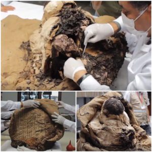 Archaeological Marvel: Unveiling the Mummified Remains of a High-Ranking Inca Man, 600 Years After His Death