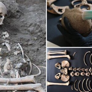 Skeleton Found in Pompeii Belonged to Child Seeking Shelter from Deadly Volcanic Eruption