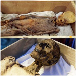 Archaeologists Aghast at the Discovery of a Mutilated Mummy in Egypt