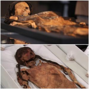 Archaeological Marvel: Unveiling a 1,200-Year-Old Female Moche Mummy at El Brujo Site.