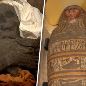 Ancient Wonders Unearthed: 3,000-Year-Old Egyptian Mummies Discovered in Kiev (Details in comments