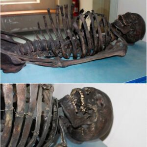 The Gristhorpe Man: Unraveling the Story of a Bronze Age Skeleton.