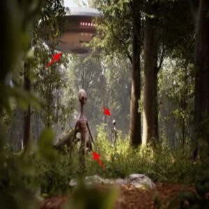 A group captured a clear image of a giant gray alien in the woods of Northwest New York (Video)