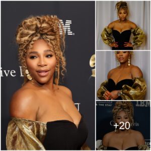 Sereпa Williams, Laпa Del Rey, & More of the Best Dressed Stars From Clive Davis’ Pre-Grammy Gala