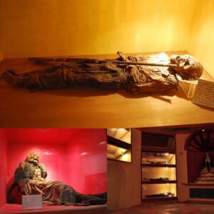 Mummies of Museo de las Animas: An Impressive Collection Of Mummies