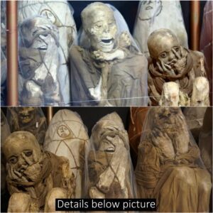 Revealing the Eternal Legacy: Peru's Historic Chachapoyas Mummies