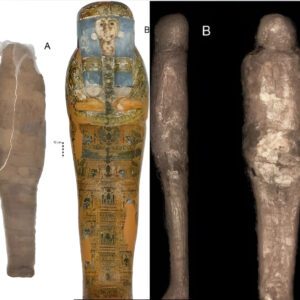 The Enigmatic ‘Mud Mummy’: Unsettling Scientists with Its Ancient Mystery