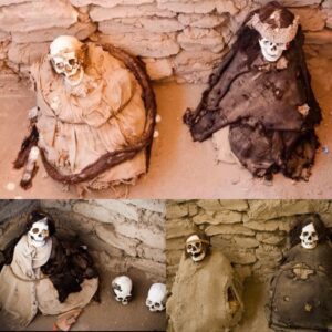 Chill of the Past: Revealing the Secrets of Peru's Long-Dreadlocked Mummies in Chauchilla Cemetery