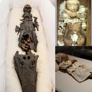 surprised to discover a two-headed mummy with one human head and one ugly fish head' after centuries of secrecy: Revealing a strange and mysterious story.