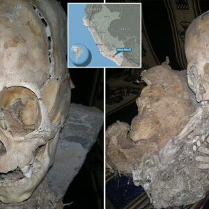 Is this an alien skull? Mystery of giant-headed mummy found in Peru