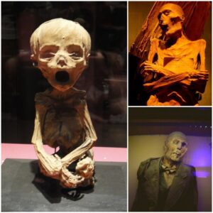 The Mystery Of The Mummies Of Guanajuatο… Sad Mexican Histοry