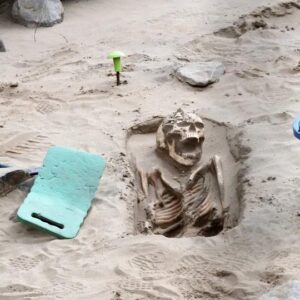 The Secret of 200 Well-Preserved Skeletons at the Beach