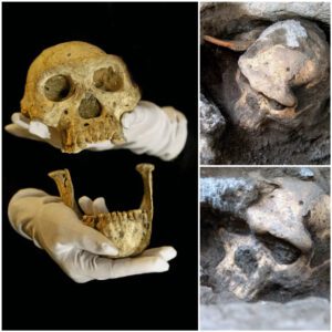 Unlocking the Past: The Skull That Rewrites Human History