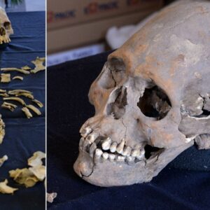 Discover the Secrets of a 1,600-Year-Old Elongated Skull Adorned with Stone-Covered Teeth in Mexico's Ancient Ruins