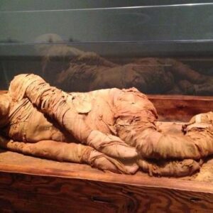 Exposing the Mysteries of the Egyptian Mummification Method