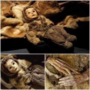 Unveiling the Incredible Story of a Frozen Inuit Hunter Family Preserving Skin, Hair, and Secrets for Centuries. The Well-Preserved Mummies of Greenland: A Testimony to the Mysteries of History