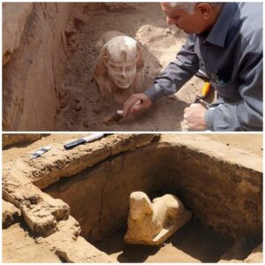 Quake-hit Hatay Archaeology Museum gets reinforced - Türkiye News