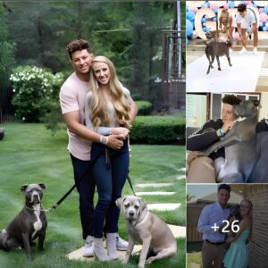 Patrick Mahomes Shares His Happy Moments With His Two Pet Dogs That He Adopted As A Child, Watching Tv With Him, Playing, And Helping Him Surprise His Wife