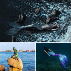 Are Mermaids Real? Mermaid Myths & Tales from Around the World