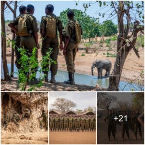 Meet the all-female anti-poaching team changing the face of conservation in Africa