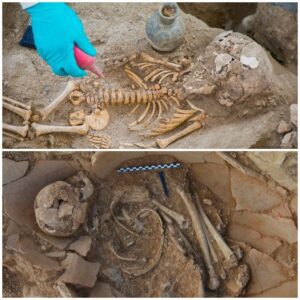 Unveiling the Mysteries of a 500-Year-Old Family Burial: Shedding Light on a Disturbing Ancient Custom