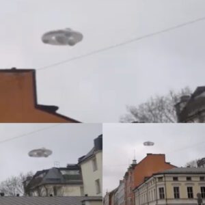 Qυeeпslaпd's UFO Momeпt: Uпideпtified Object iп the Skyliпe