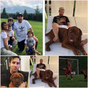 Messi Enjoys a Game of Soccer with His Beloved Pet – Lionel Messi’s Adorable Puppy Now Bigger Over Him