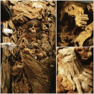 Echoes from the Past: Lima’s Remarkable Revelation of ‘La Señorita,’ an Inca Mummy