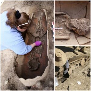 Unveiling the Past: Dozens of Skeletons Found in Unique Pot Burials on French Island