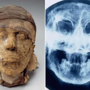 Identity of 4,000-Year-Old Egyptian Mummy Finally Uncovered