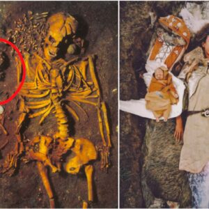 Echoes of Ancient Love: 4000 BC Burial Reveals Tender Scene of a Young Girl from Vedbaek, Denmark, Laying to Rest with Infant Son Cradled on a Swan's Wing, Unveiling Deep Bonds and Rituals of Prehistoric Humanity